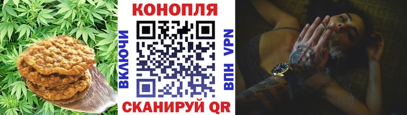как найти закладки  Спасск-Дальний  Еда ТГК конопля 