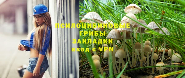 шишки Армянск