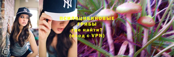 метадон Арсеньев